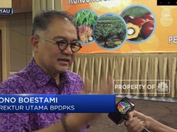 Langkah BPDPKS Memajukan Industri Sawit Nasional