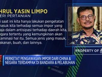 Antisipasi Penyebaran Virus, RI Perketat Impor Dari China