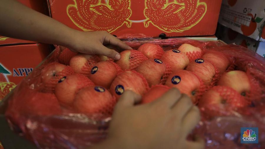 Suasana aktifitas pasar induk Kramat Jati di Blok buah, Jakarta Timur, Selasa (28/1/2020). Kementerian Pertanian memperketat pintu masuk impor beberapa jenis makanan termasuk buah-buahan dari daerah atau negara tertentu yang kemungkinan terkontaminasi virus corona sebagai upaya pencegahan penyebaran virus tersebut. Upaya pengetatan dilakukan melalui penerapan biosecurity terhadap komoditas impor untuk mencegah penyebaran Virus Corona. Sampai saat ini, ia memastikan belum ada data yang menunjukkan kontaminasi Virus Corona terhadap komoditas impor. Pantauan CNBC dilokasi pasar pedagang pasar mengaku dagangannya normal biasa saja. Hanya saja pasoka importir buah belum datang dan rencana april nanti. Puji salah satu pedagang mengatakan