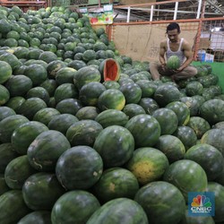 Jualan Buah Impor, Emiten Ini Dongkrak Kapasitas Hingga 7.905 Ton
