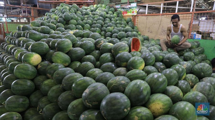 Suasana aktifitas pasar induk Kramat Jati di Blok buah, Jakarta Timur, Selasa (28/1/2020). Kementerian Pertanian  memperketat pintu masuk impor beberapa jenis makanan termasuk buah-buahan dari daerah atau negara tertentu yang kemungkinan terkontaminasi virus corona sebagai upaya pencegahan penyebaran virus tersebut. Upaya pengetatan dilakukan melalui penerapan biosecurity terhadap komoditas impor untuk mencegah penyebaran Virus Corona. Sampai saat ini, ia memastikan belum ada data yang menunjukkan kontaminasi Virus Corona terhadap komoditas impor. Pantauan CNBC dilokasi pasar pedagang pasar mengaku dagangannya normal biasa saja. Hanya saja pasoka  importir buah belum datang dan rencana april nanti. Puji salah satu pedagang mengatakan 
