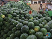 Jualan Buah Impor, Emiten Ini Dongkrak Kapasitas Hingga 7.905 Ton