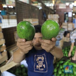 Virus Corona Ganggu Perdagangan, Eksportir Sampai Menangis