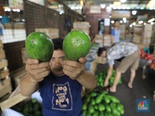 Virus Corona Mengganas, Bagaimana Penjualan Buah Impor di RI?