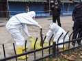 Studi: Virus Corona Tunjukkan Gejala dalam 5,2 Hari