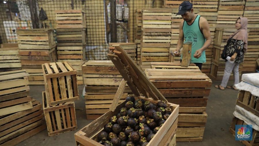 Kementan memperketat pengawasan pintu masuk impor buah demi menghindari kemungkinan penyebaran virus corona.