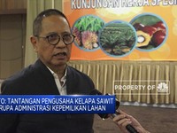 Komisi XI DPR Dukung  BPDPKS Dalam Peremajaan Lahan Sawit