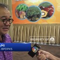Begini Cara Dorong Sawit Agar Tahan Banting