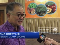 Begini Cara Dorong Sawit Agar Tahan Banting