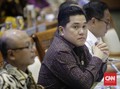 Erick Thohir Bakal Rombak Manajemen Pupuk Indonesia