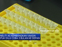 Pembuatan Vaksin Corona Tengah Dikebut!