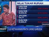 Mirza Adityaswara: Rupiah Erat Kaitannya dengan Suku Bunga AS