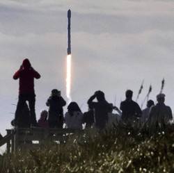 Bos XL Cemas Internet Elon Musk Masuk Langsung Babat Habis