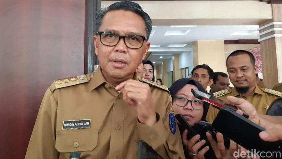 Gubernur Sulawesi Selatan Nurdin Abdullah (Noval Dhwinuari Antony/detikcom)