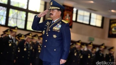 Panglima TNI Hadi Tjahjanto (Rengga Sancaya/detikcom)