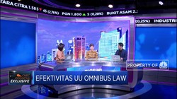 Soal RUU Omnibus Law, Apindo: Kami Harap Cepat Disahkan