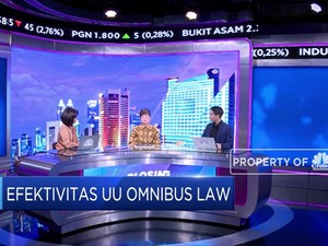 Soal RUU Omnibus Law, Apindo: Kami Harap Cepat Disahkan