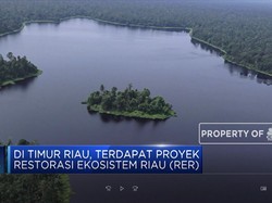 Menilik Program Restorasi Hutan Gambut Terbesar
