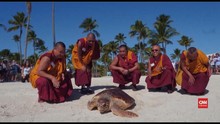 VIDEO: Biksu Lepas Penyu yang Terancam Punah di Florida
