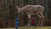 Tanya Wickham mengabadikan momen ketika para cucunya bersama ibu mereka memelihara 'Rusa' di Taman Patung Laumeier pada Kamis (23/1) di St. Louis. (Robert Cohen/St. Louis Post-Dispatch via AP)