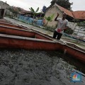 Top! Ada Startup yang Sudah Laba, Omzet Lebih dari Decacorn
