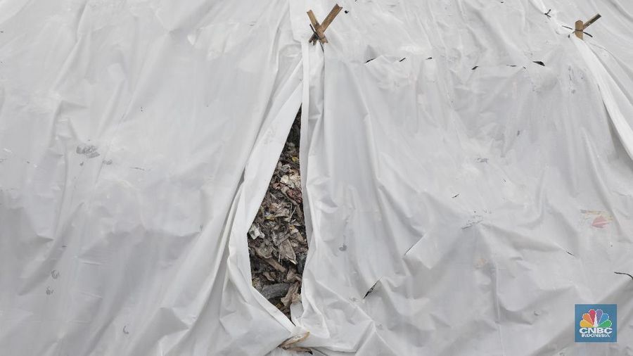 Plastik putih menutupi sebagian gunungan sampah di Tempat Pembuangan Akhir (TPA) Cipayung, Depok, Jawa Barat, Jumat (31/1/2020). Penutupan sampah dengan plastik sudah dimulai sejak tahun 2019.

Selain untuk mengurangi bau tidak sedap, plastik berbahan singkong tersebut juga berfungsi untuk mengurai sampah. Plastik yang digunakan sudah sesuai standar Kementerian Lingkungan Hidup dan Kehutanan Republik Indonesia.   

Sebelumnya, penutupan sampah dilakukan dengan material tanah yang berbiaya mahal dan sulit didapat. Penggunaan tanah juga membuat jalan yang dilintasi truk pengangkut menjadi kotor dan mengurangi kenyamanan warga sekitar.

Rencananya, Pemerintah Kota Depok akan mengalihkan lokasi pembuangan sampah dari TPA Cipayung ke TPA Regional Lulut-Nambo di Kabupaten Bogor, Jawa Barat. Hal itu dikarenakan volume sampah di Kota Depok sudah melebihi kapasitas lahan di TPA Cipayung.

- Petugas kebersihan sekitar sedang mengangkut sampah dengan grobak, sampah tersebut akan dibuang ke Blok A. 

- Para petugas sedang membawa kayu yang masih bisa digunakan kembali. 

- Pantauan CNBC Indonesia dilapangan truck sampah khusus area Depok berlalu lalang di area di TPS. 

- Antrian truck yang masuk ke TPS Juga terlihat diluar pintu masuk. 

- Dalam sehari Petugas TPS yang bekerja didalam 20 hingga 40 orang, sedangkan volume sampah hingga mencapai 30ton setiap harinya.  (CNBC Indonesia/Tri Susilo)
