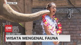 VIDEO: Wisata Mengenal Fauna di Bali