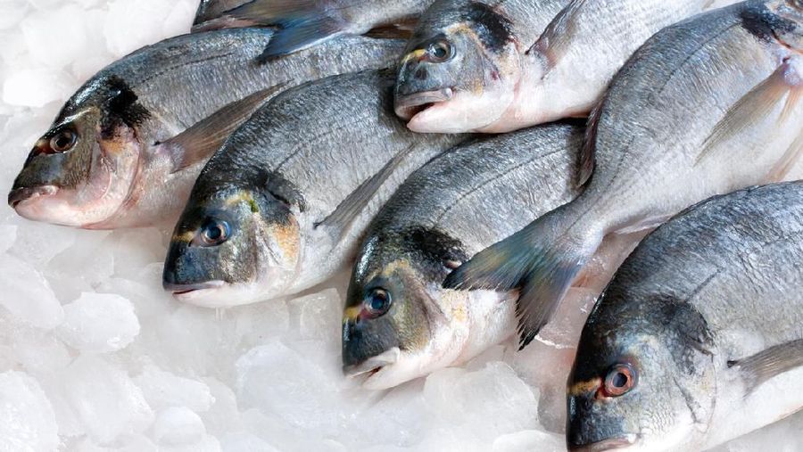 Ikan asal China tak masuk dalam larangan impor sementara untuk antisipasi corona.