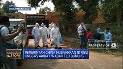 Astaga. Setelah Corona, Muncul Wabah Flu Burung