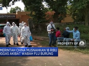 Astaga. Setelah Corona, Muncul Wabah Flu Burung