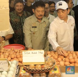 Saat Skenario Terburuk, Stok Beras RI Aman Pak Mentan?