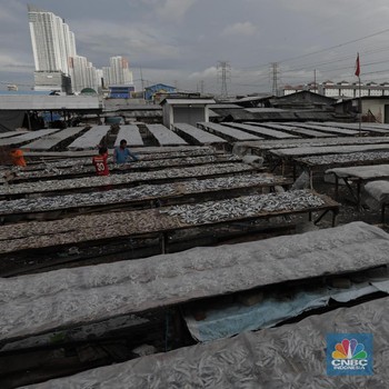 Mengintip Usaha Pengeringan Ikan Asin yang Mulai Kelimpungan
