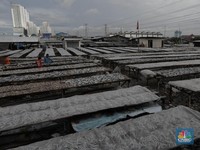 Mengintip Usaha Pengeringan Ikan Asin yang Mulai Kelimpungan