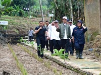 Intip Gaya Jokowi Blusukan Cek Bekas Lokasi Longsor di Bogor
