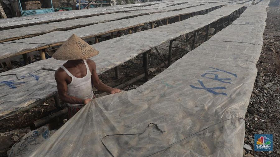 Musim hujan memengaruhi proses pengeringan ikan asin.
