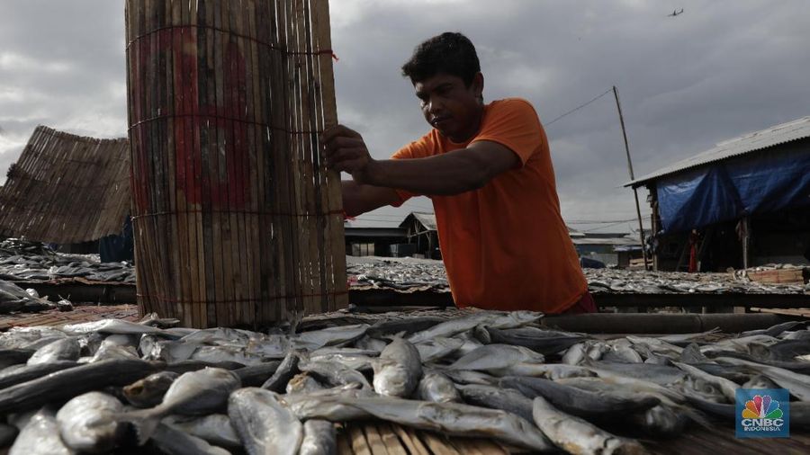 Musim hujan memengaruhi proses pengeringan ikan asin.