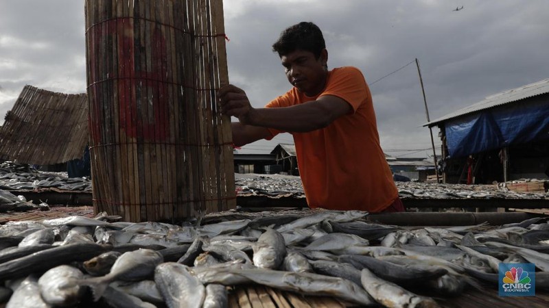 Musim hujan memengaruhi proses pengeringan ikan asin.