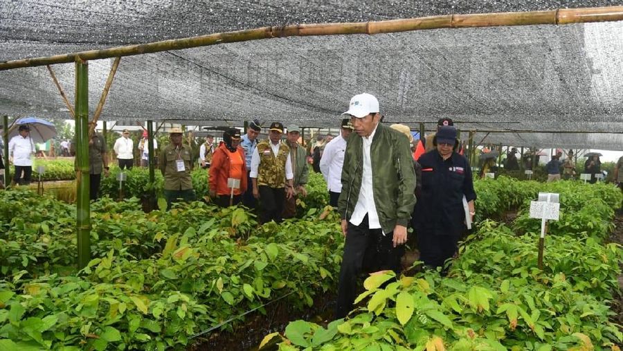 Presiden melihat bangunan dam penahan longsor dan pembuatan bronjong kawat di daerah yang sempat dilanda longsor pada awal Januari 2020 lalu.