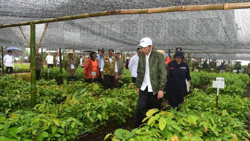 Presiden melihat bangunan dam penahan longsor dan pembuatan bronjong kawat di daerah yang sempat dilanda longsor pada awal Januari 2020 lalu.