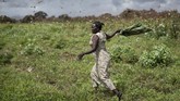 Seorang petani mengibaskan syalnya untuk mengusir gerombolan belalang gurun dari hasil panennya di Kitui, Kenya. (AP Photo/Ben Curtis)