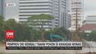 VIDEO: Pemprov DKI Kembali Tanam Pohon di Kawasan Monas