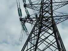 PLN Beberkan Alasan Susut Jaringan Listrik Tinggi