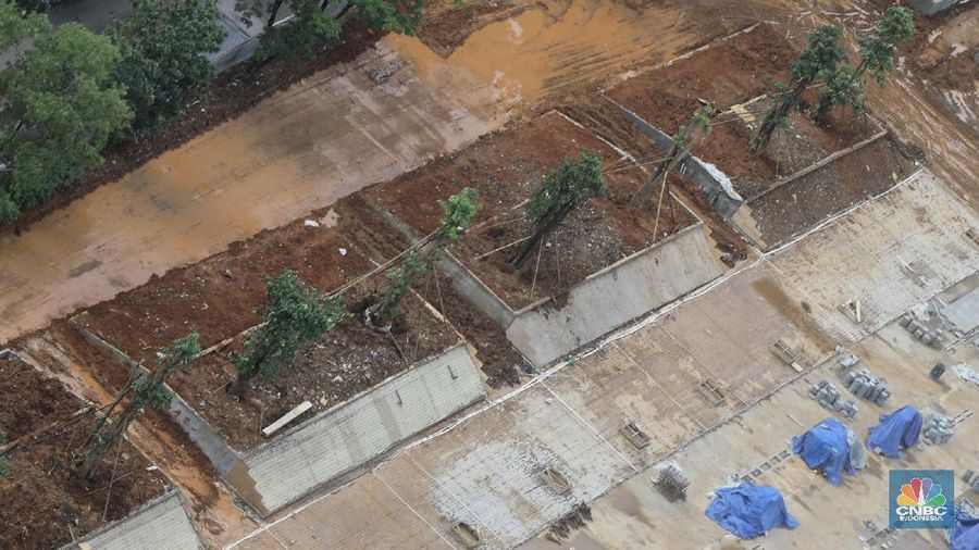 Nantinya, total akan ditanam kembali 573 pohon di kawasan revitalisasi.