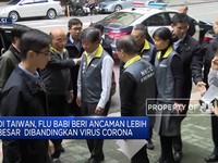 Duh! 56 Orang Meninggal Dunia Akibat Flu Babi di Taiwan