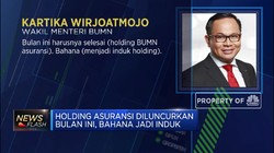 Siap-siap! Bahana Jadi Induk Holding Asuransi Akhir Februari