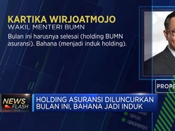 Siap-siap! Bahana Jadi Induk Holding Asuransi Akhir Februari