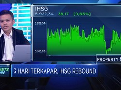 IHSG Di Zona Hijau,Analis: Penguatan Sebatas Teknikal Rebound