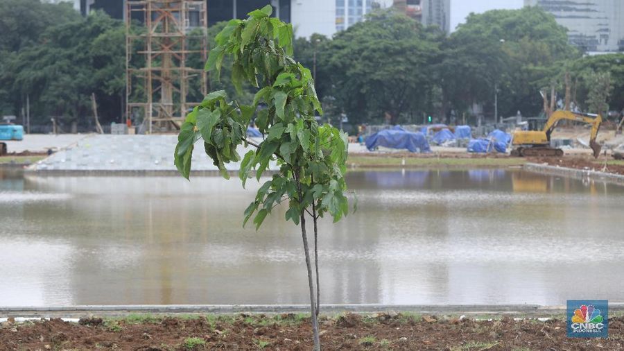 Nantinya, total akan ditanam kembali 573 pohon di kawasan revitalisasi.