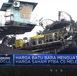 Harga Batu Bara Menguat, Harga Saham PTBA CS Melesat