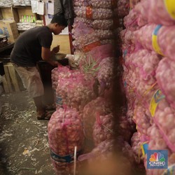 Ribuan Ton Bawang Putih Impor Senilai Rp 1,2 T Banjiri RI